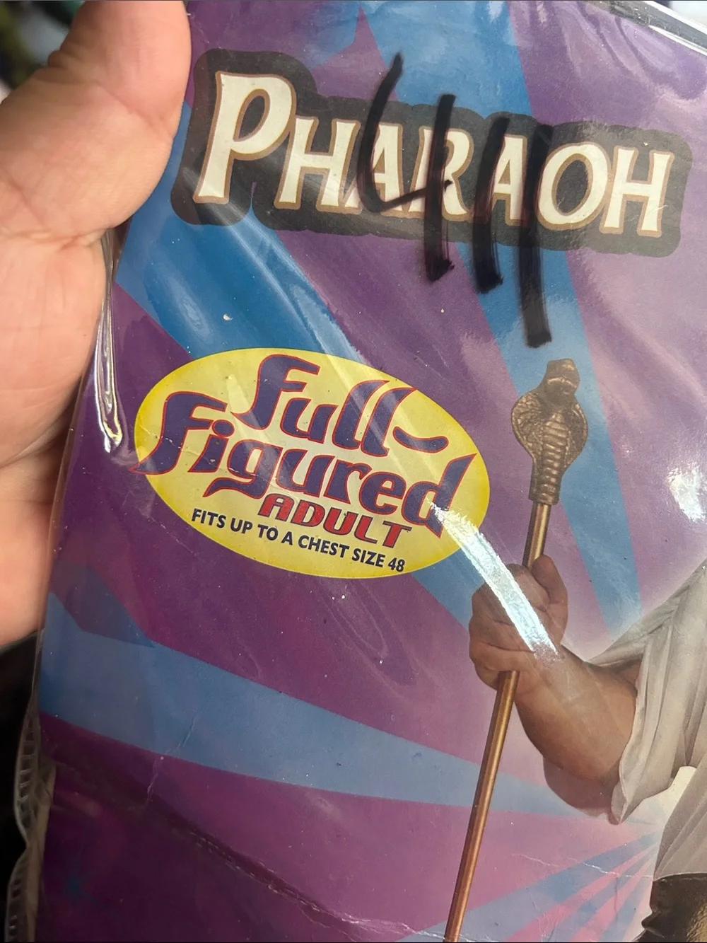 Pharaoh Kids Costume - White and Gold Egyptian Outfit